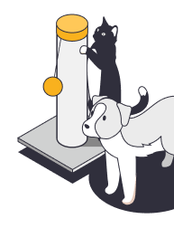 Image assurance